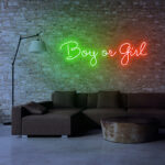 colorful4 Boy or Girl Neon Sign